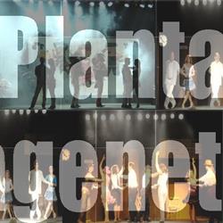 Horario de apertura Plantagenet, Plasencia