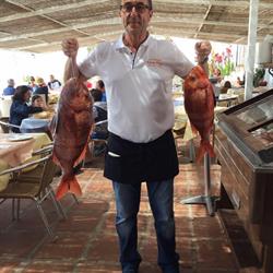 Horario de apertura Hostal Restaurante los Rios, Bolonia