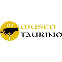 Horario de apertura Museo Taurino de Valencia, 