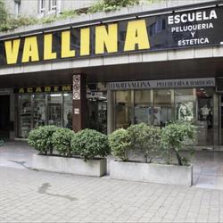 Horario de apertura Academia Peluquería Vallina, León