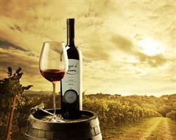 Horario de apertura BODEGAS PETRALANDA S.L., Fuenmayor