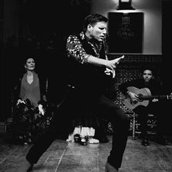 Estudio Flamenco Juan Polvillo en Sevilla (Casco Antiguo) - Horario de apertura