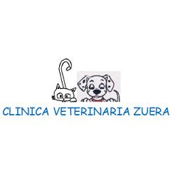 Horario de apertura Clínica Veterinaria Zuera, 