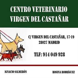 Horario de apertura Centro Veterinario Virgen del Castañar, Madrid