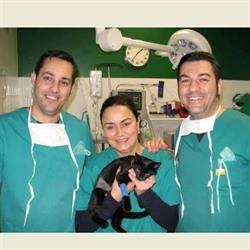 Horario de apertura Centro Veterinario Padilla, Briviesca