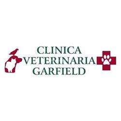 Horario de apertura Clínica Veterinaria Garfield, As Pontes de Garcia Rodriguez