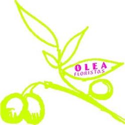 Horario de apertura Olea Floristas, S.l., Ourense