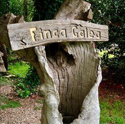 Horario de apertura Finca Galea S.L., Alfoz