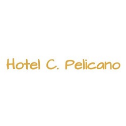 Hotel Costa Pelícano en Bilbao (Errekalde) - Horario de apertura