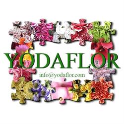 Flores Yodaflor en Zaragoza (Delicias) - Horario de apertura