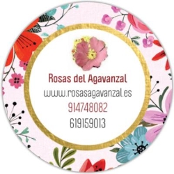 Horario de apertura Enviar flores Madrid floristeria Rosas Agavanzal, 