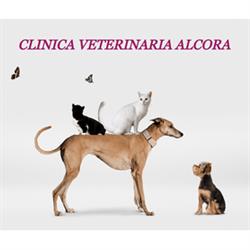 Horario de apertura Clínica Veterinaria Alcora, Majadahonda