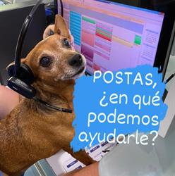 Horario de apertura Clinica Veterinaria Postas-Hospital Veterinario, Aranjuez