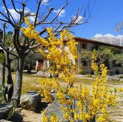 Horario de apertura Casa Riata, Mombeltrán