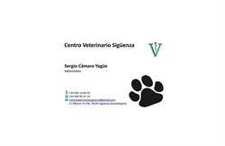 Horario de apertura Centro Veterinario Sigüenza, 
