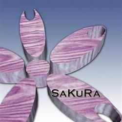 Horario de apertura Sakura, Valladolid