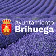 Horario de apertura Ayuntamiento de Brihuega,