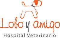 Horario de apertura Hospital Veterinario Lobo y Amigo, Toro