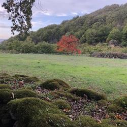 Horario de apertura El Jardín del Convento Casa Rural, Hervás
