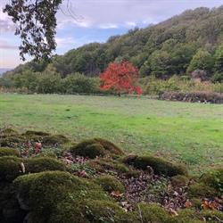 Horario de apertura El Jardín del Convento Casa Rural, Hervás