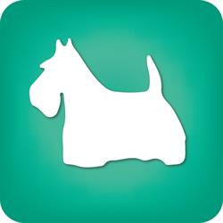 Horario de apertura Veterinarios Cinos, Blanes