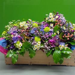 Horario de apertura Flores Comos, Catarroja