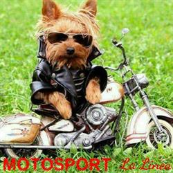 Horario de apertura Moto Sport La Línea, La Línea de la Concepción