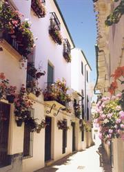 Horario de apertura La Posada Real, Priego de Córdoba