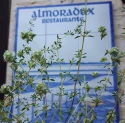 Horario de apertura Restaurante Almoradux, Niebla