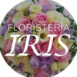 Floristeria Iris en Málaga (Carretera De Cádiz) - Horario de apertura
