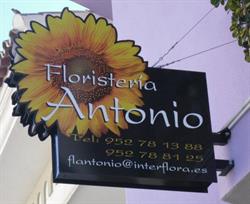Horario de apertura Flores Antonio, San Pedro de Alcántara