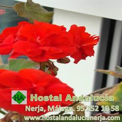 Horario de apertura Hostal Andalucia, Nerja