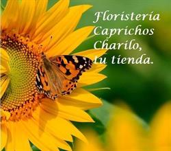 Horario de apertura Charilo, Écija
