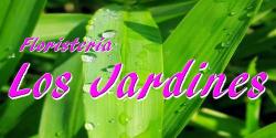 Horario de apertura Floristeria Los Jardines, Almadén