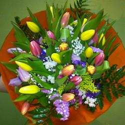Horario de apertura Floristeria Tere, Sant Boi de Llobregat