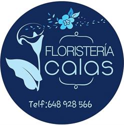 Horario de apertura FLORISTERIA CALAS, Castuera