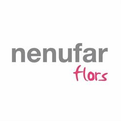 Horario de apertura Floristeria Nenufar, Alzira