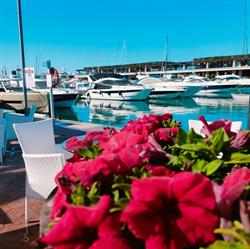 Horario de apertura Restaurante Vino Del Mar, Calvià