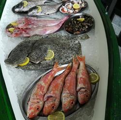 Sidrería restaurante El Paneru en Gijón (Oeste) - Horario de apertura