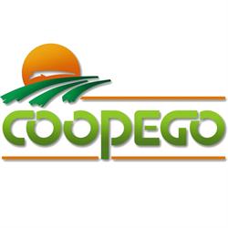 Horario de apertura Cooperativa Agricola Caja Rural de Pego, 