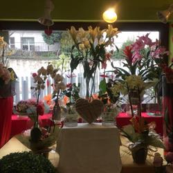 Horario de apertura los Claveles, Pozuelo de Alarcón