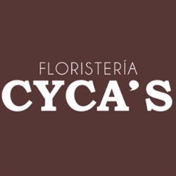 Horario de apertura Floristería Cyca's, Santa Coloma de Gramenet