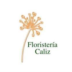 Horario de apertura Sant Boi Floristeria Caliz, Sant Boi de Llobregat
