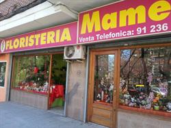 Horario de apertura Flores Mamen, Móstoles