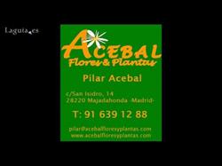 Horario de apertura Floristería Acebal, Majadahonda
