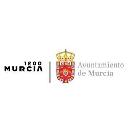 Horario de apertura Ayuntamiento de Murcia, 