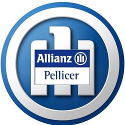 Horario de apertura Allianz seguros Pellicer, Santander