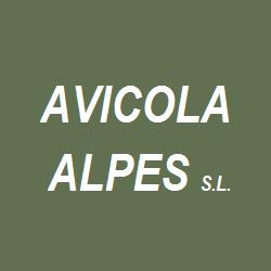 Horario de apertura Avícola Alpes, A Estrada