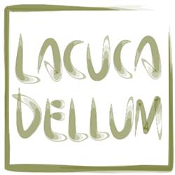 Horario de apertura Lacuca de Llum, Solsona
