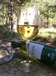 Horario de apertura Bodegas Fernandez Eguiluz, Sl, Ábalos